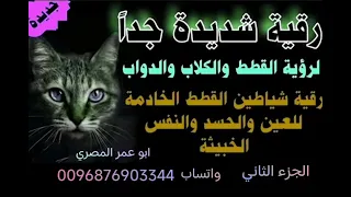 رقية الشيطانة القطه الساحره الحاسده العاشقه التي دمرت كل شيء وتسحر لأفراد الأسرة 