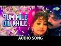 Download Lagu Tu Mile Dil Khile With Lyrics | Criminal | Kumar Sanu | Alka Yagnik | Nagarjuna | Manisha Koirala