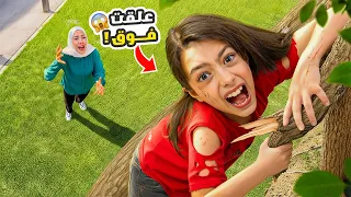 تيما طلعت على الشجرة وعلقت فوق أصعب يوم   دندنها
