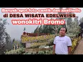 Download Lagu DESA WISATA EDELWEISS || SPOT FOTO#edelweiss#wisataalam