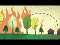 Home Wildfire Preparedness
