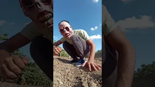 حان الان وقت التنطيط    تنطيط                   دندنها