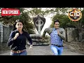 Download Lagu Cid Officer Abhijeet और Shreya के पीछे पड़ गया जब यह बड़ा साप | CID | TV Serial Latest Episode