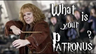 Discover your Patronus Pottermore Wizarding World