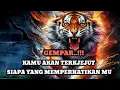 Lagu JIWA TERPILIH _ KAMU AKAN TERKEJUT SIAPA YANG MEMPERHATIKAN MU