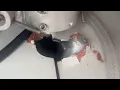 Arcona 460 yacht sinks after rudder stock failure