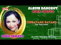 Lagu NINA ISMAYA - TERBAYANG BAYANG ( Official Musik ) HD
