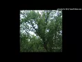 Julianna Barwick "Prizewinning" (2011)