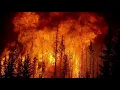 Fight The Fire ( Pupa Orits Williki ) Video Lyrics