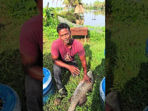 ഇവനാണ് എന്റെ കൃഷി നശിപ്പിച്ചവൻ