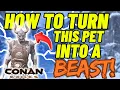 Turn this Pet into a Beast Insane amounts of Damage - Conan Exiles