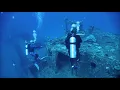Aloha Scuba Ad