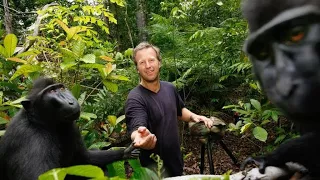 Photographer settles monkey selfie legal fight