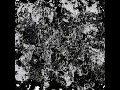 Bonsai Jungle (SofaTalk Remix)