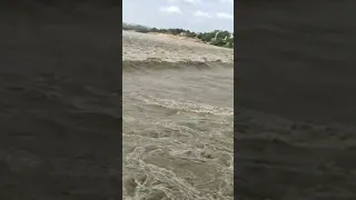 Krishna River Krishnariver Shorts 