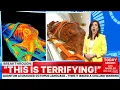 Download Lagu Quantum AI Cracked Octopus Language… Then It Issued a Chilling Warning