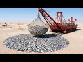 China Released Millions of Fish Into the Desert 1 Year Later The Result Was Incredible