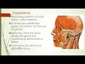 Anatomy of Parotid Gland Teach it Out Sabiha M Medical Notestepup
