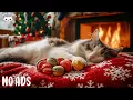 Lagu Calming Music for Cats 🐾🎄 Soft Sounds to Help Cats Relaxing and Deep Sleep