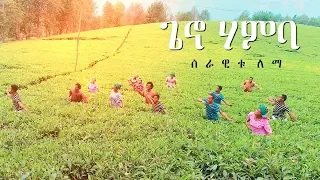 Serawitu Lema Geno Hamba ጌኖ ሃምባ New Ethiopian Music 2019 Official Video 