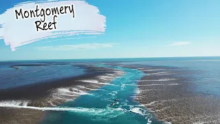 E70 – Montgomery Reef & the Amazing Falls