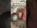 Download Lagu How do I feed a newborn rabbit?#save#artificialfeeding#bunny#baby#rabbitcare