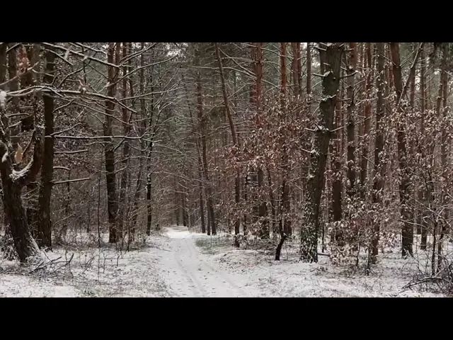«Nephews» — офіційний кліп