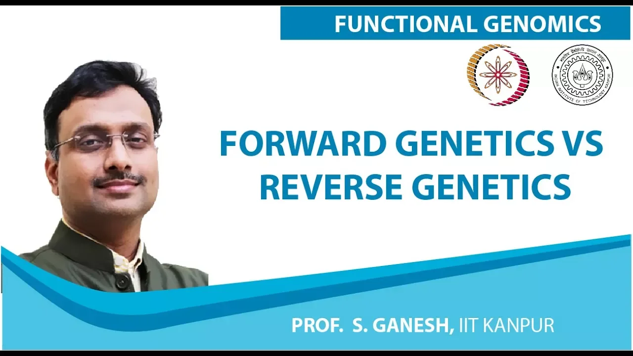Forward Genetics vs Reverse Genetics