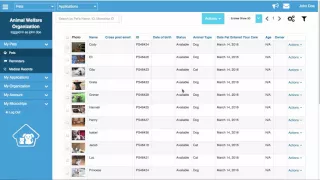 Customizing Your Petstablished Account s Indexes