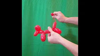 Vanishing Tail with a Balloon Dog