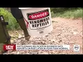 Rattlesnakes are appearing on Utah trails around homes later than normal