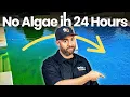 Green Pool CURE How to Clear Up POOL ALGAE Overnight 24-Hour Fix