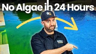 Green Pool CURE How to Clear Up POOL ALGAE Overnight 24-Hour Fix