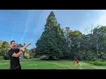 Our BIGGEST TREE to DATE 90ft Conifer Tree Removal
