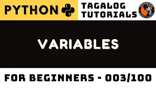 Python Variables Explained How Data Storage Works in Code