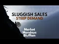 Zillow says homes are selling slower but demand is picking UP Market Mondays Bluffton