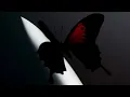 Post Malone - Waiting For Never (Official Visualizer)