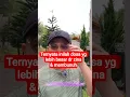 Download Lagu TERNYATA INILAH DOSA YANG LEBIH BESAR DARI ZINA \u0026 MEMBUNUH #youtubeshorts #dosabesar #dosazina