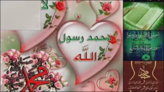 لو ما علي حبشي 