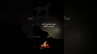 لا تجر اعواك يا ذيب 