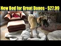 New Bed for the Great Danes from Costco 27 99
