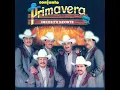 Necesito Decirte - Conjunto Primavera