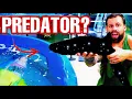 Download Lagu OUR *SURPRISE* SALTWATER PREDATOR in his new home - RESCUED