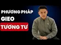 Lagu Kỹ Thuật 'Gieo Tương Tư': Khiến Cô Ta Mất Ngủ Vì Nhớ B (Cấm Dùng Bừa)