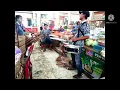 Download Lagu Layang Kangen Versi Angklung