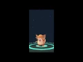 Rattata Evolving to Raticate - Pokemon GO 1080p
