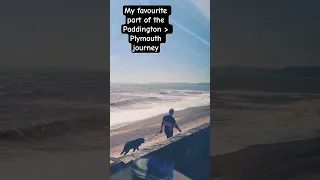 sea training
