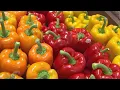 New grocery store opening in Hartford
