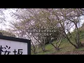 桜坂 - 福山雅治(高音質)