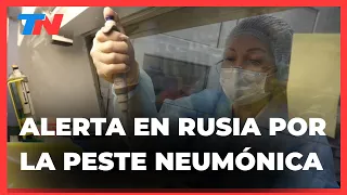 ALERTA EN RUSIA: murió una investigadora y aislaron a 200 personas por una posible peste neumónica